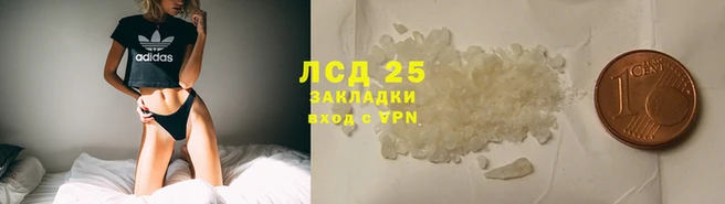 спиды Алзамай