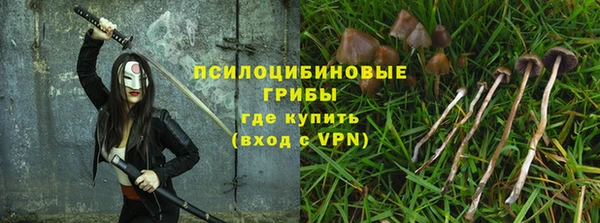 спиды Алзамай