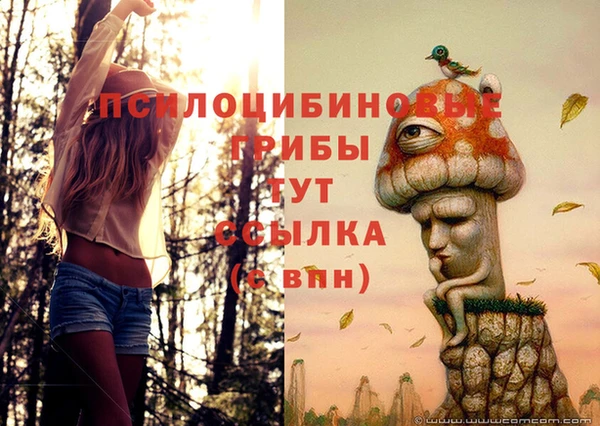 кокаин колумбия Алексин
