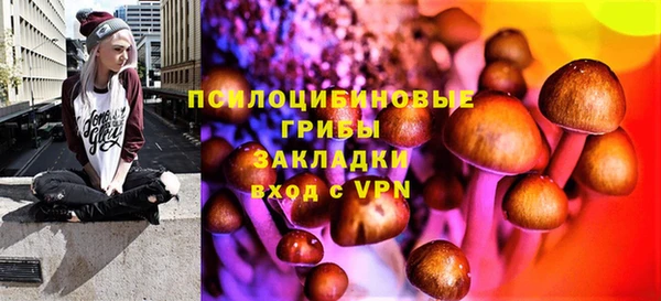 спиды Алзамай