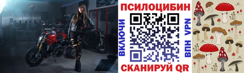 Галлюциногенные грибы Cubensis  Курчалой 