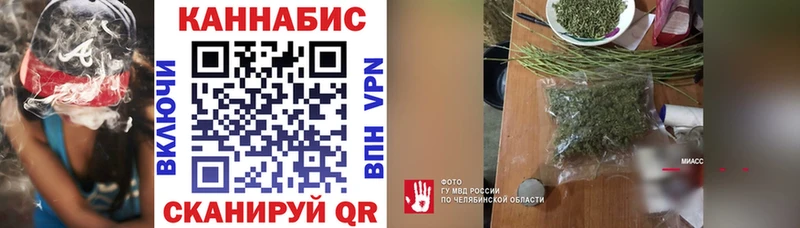 MEGA маркетплейс  Курчалой  Бошки марихуана индика  где продают наркотики 
